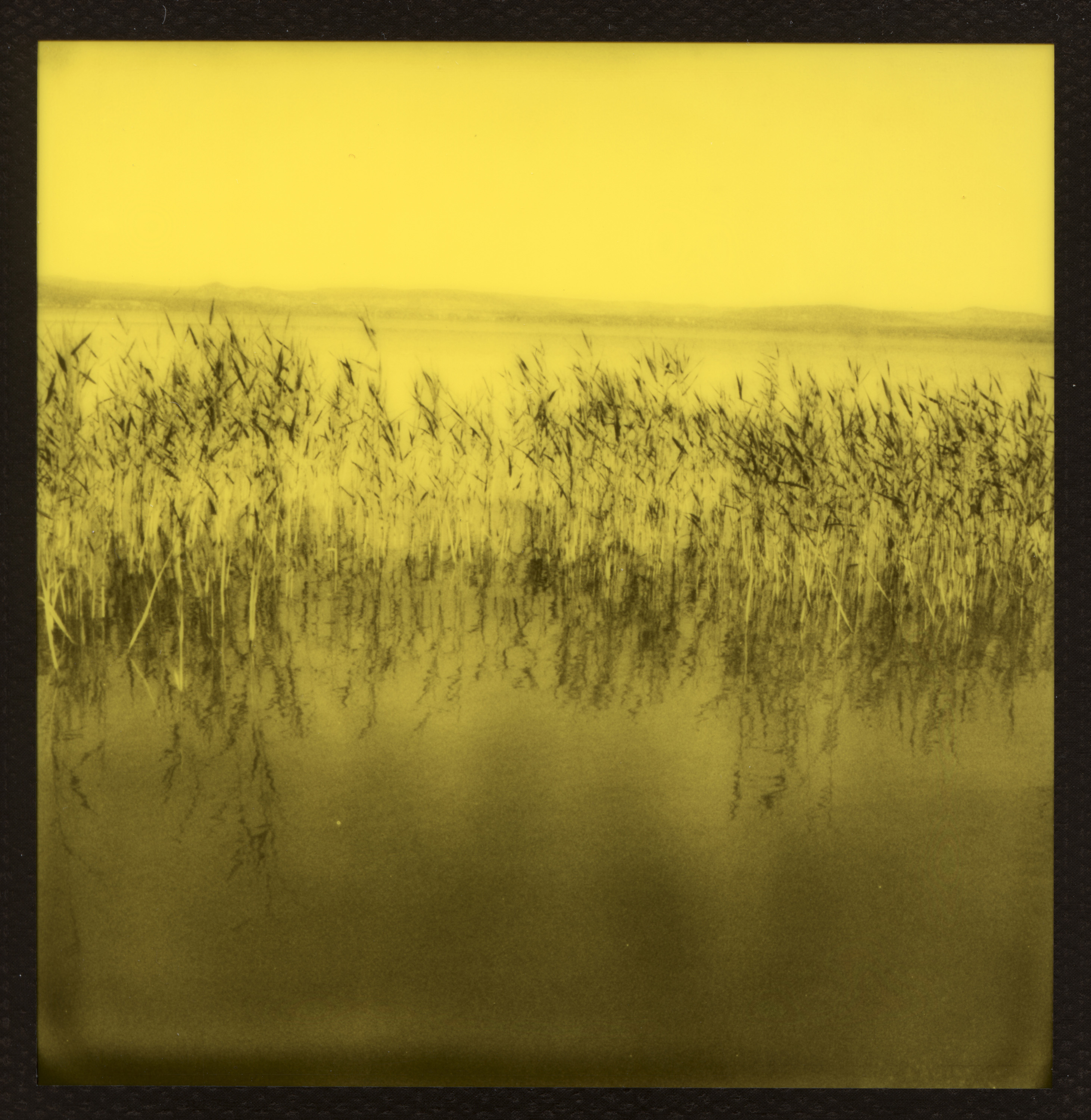 Image of Photo